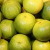 Succo di Bergamotto 100% - immagine 2