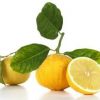 Succo di Bergamotto 100% - immagine 3
