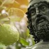 Succo di Bergamotto 100% - immagine 4