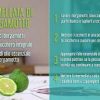 Succo di Bergamotto 100% - immagine 6